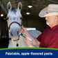 Farnam Apple Elite Electrolyte Paste for Horses Hydration Support Apple Flavor 60 cc