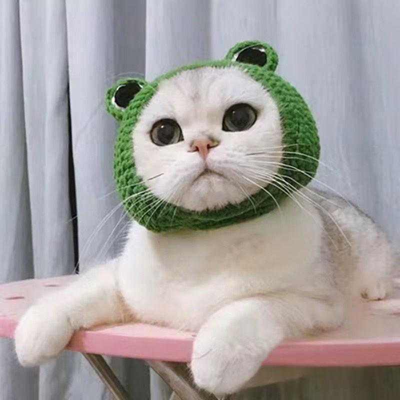 Pet Hat Dog And Pet Headwear Cute 3D Knitted Wool Bonnet Finished Cat Item