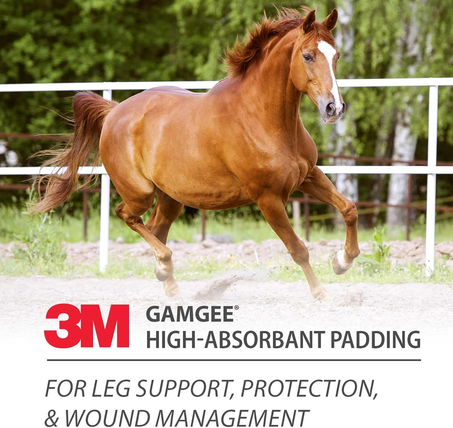 3M Gamgee Cotton Padding Medium 1 Roll Absorbent Veterinary Wound Dressing