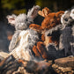 Redwood Raccoon X-Brace® Plush Dog Toy