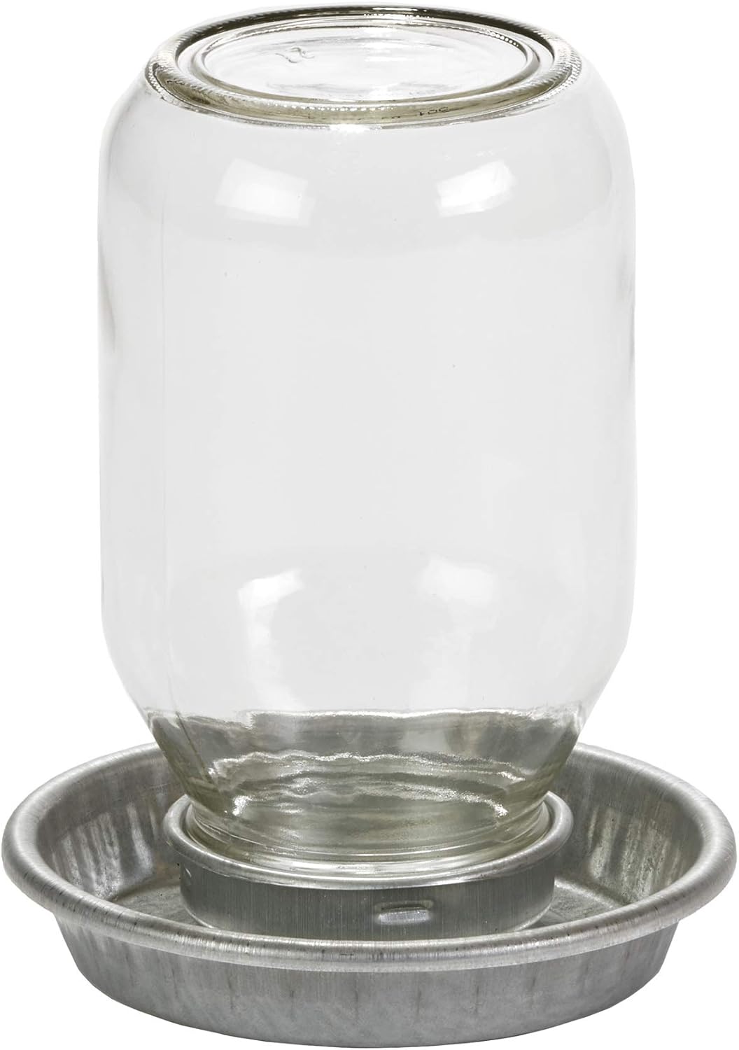 Mason Jar Baby Chick Feeder & Waterer Set - Galvanized Base with Glass Jar Bundle