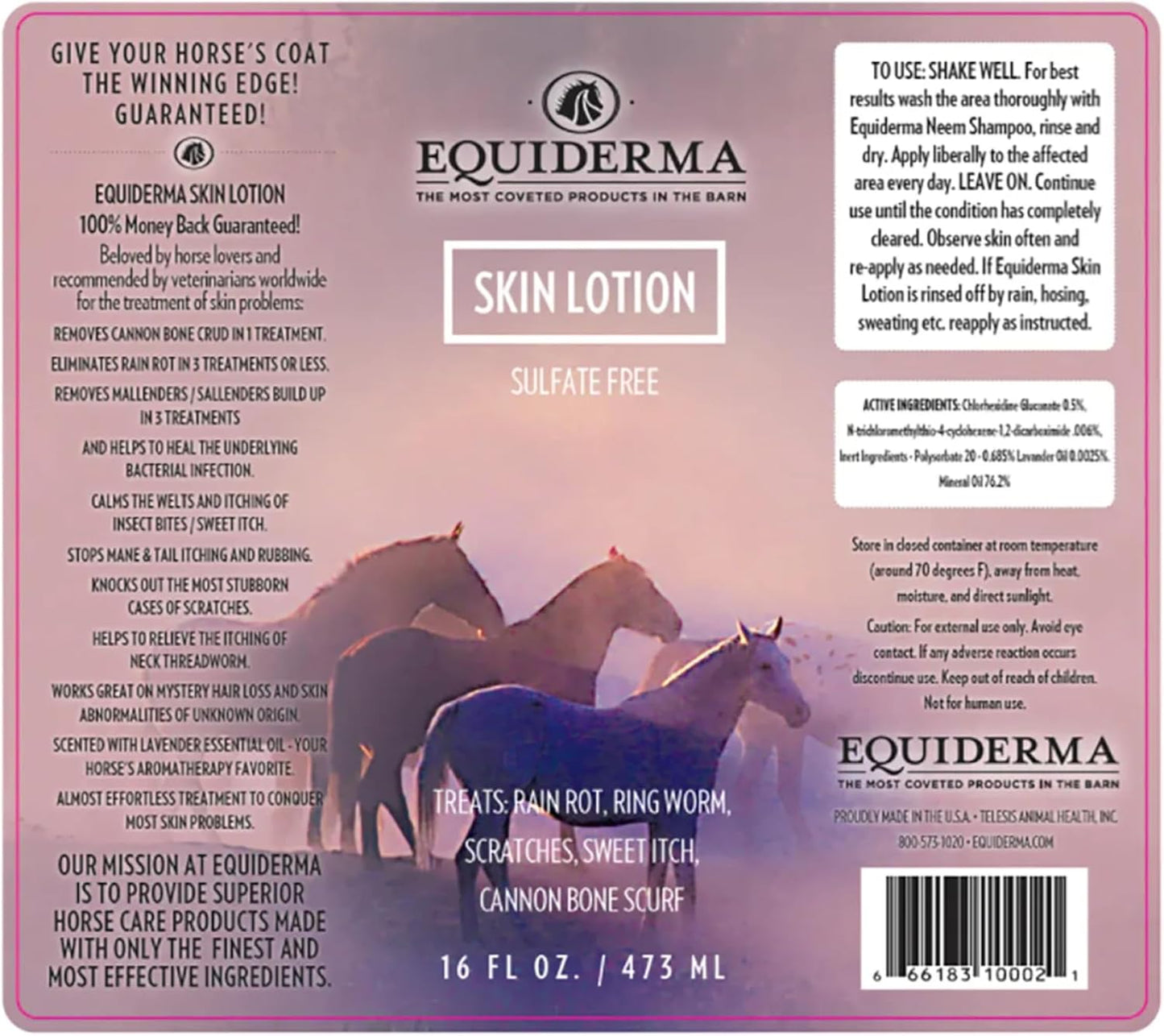 Equiderma Equine Skin Care Lotion for Rain Rot & Horse Skin Care 16 oz.