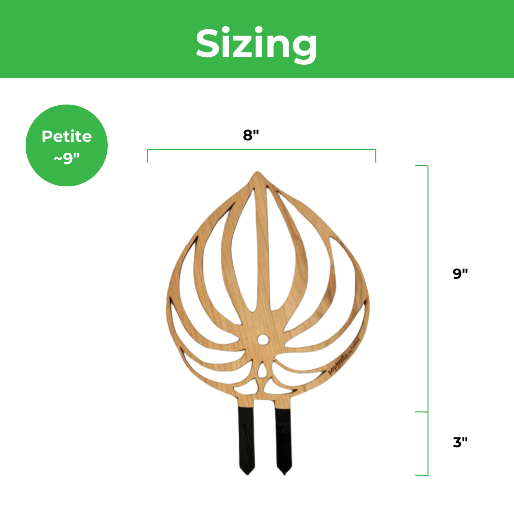 Peptrella - Plant trellis inspired by watermelon peperomia