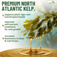 Organic Liquid Kelp Seaweed
