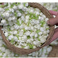 Bulk Dried Jasmine Tea – Whole Jasmine Flowers (500g–1000g)