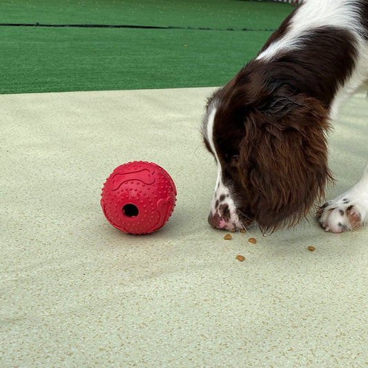 Red Feet Pet Leaking Toy