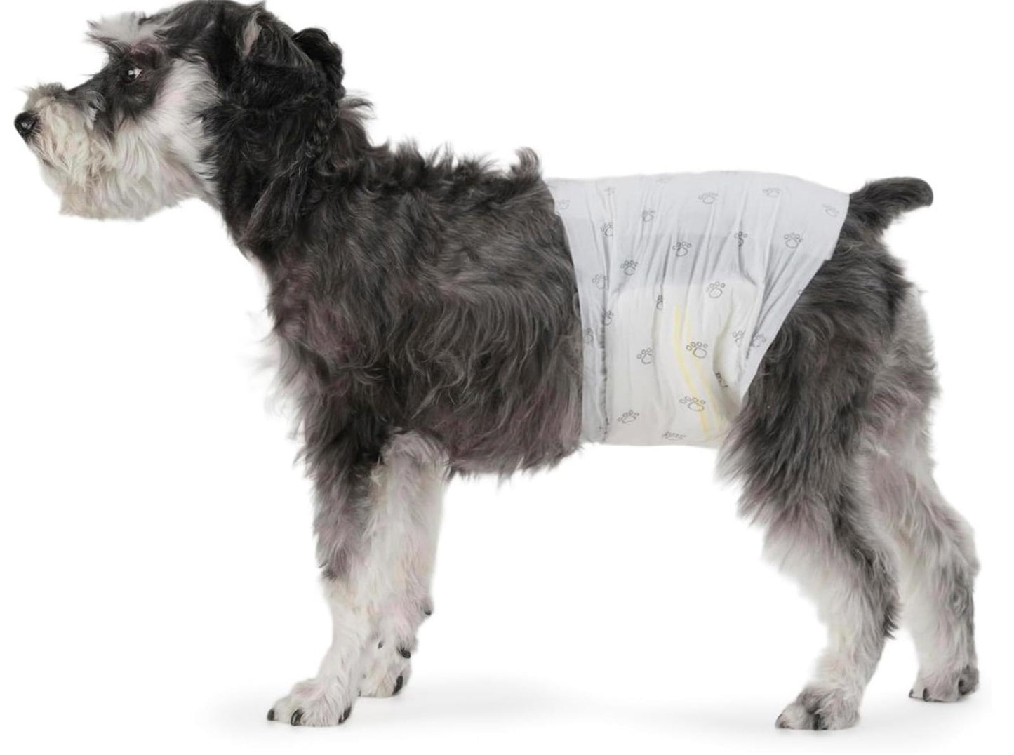 Male Dog Wraps, Disposable - Small Pack of 30 count