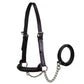Derby Originals Premium Raised Padded Leather Cattle Show Halter, Small/Medium/Large, Adjustable Fit with 48" Lead and 14" Chain, Durable Hardware, 1-Year Warranty