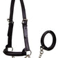 Derby Originals Premium Raised Padded Leather Cattle Show Halter, Small/Medium/Large, Adjustable Fit with 48" Lead and 14" Chain, Durable Hardware, 1-Year Warranty