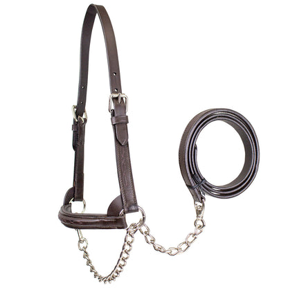 Derby Originals Premium Raised Padded Leather Cattle Show Halter, Small/Medium/Large, Adjustable Fit with 48" Lead and 14" Chain, Durable Hardware, 1-Year Warranty