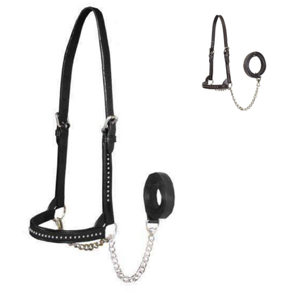 Derby Originals New and Improved Premium Show Spotted Flat Leather Cattle Show Halter, Small/Medium/Large, Adjustable Fit with 48" Lead and 14" Chain, Durable Hardware, 1-Year Warranty