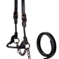 Derby Originals Bronze Beauty Rolled Leather Cattle Show Halter, Small/Medium/Large, Adjustable Fit with 48" Lead and 14" Chain, Durable Bronze Hardware, Ideal for Shows, 1-Year Warranty
