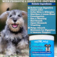 Well Loved Probiotics for Dogs with Prebiotics & Digestive Enzymes