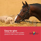 AniMed Pure MSM Horse Joint Supplement Horse Care Support USA Made 5lb.