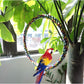 Bird Swing