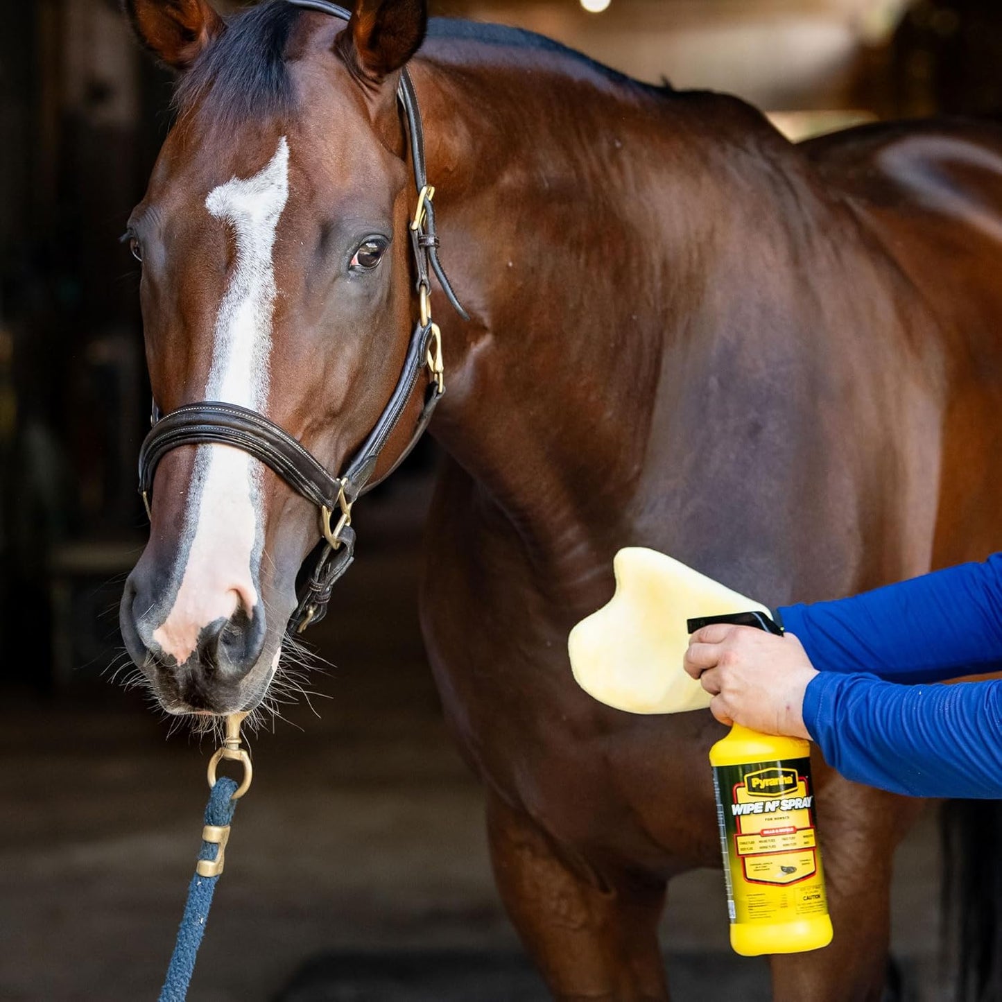 Pyranha Wipe N Spray Fly Repellent for Horses 32 oz. Long-Lasting Insect Control