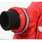 Dog clothes cat clothes autumn