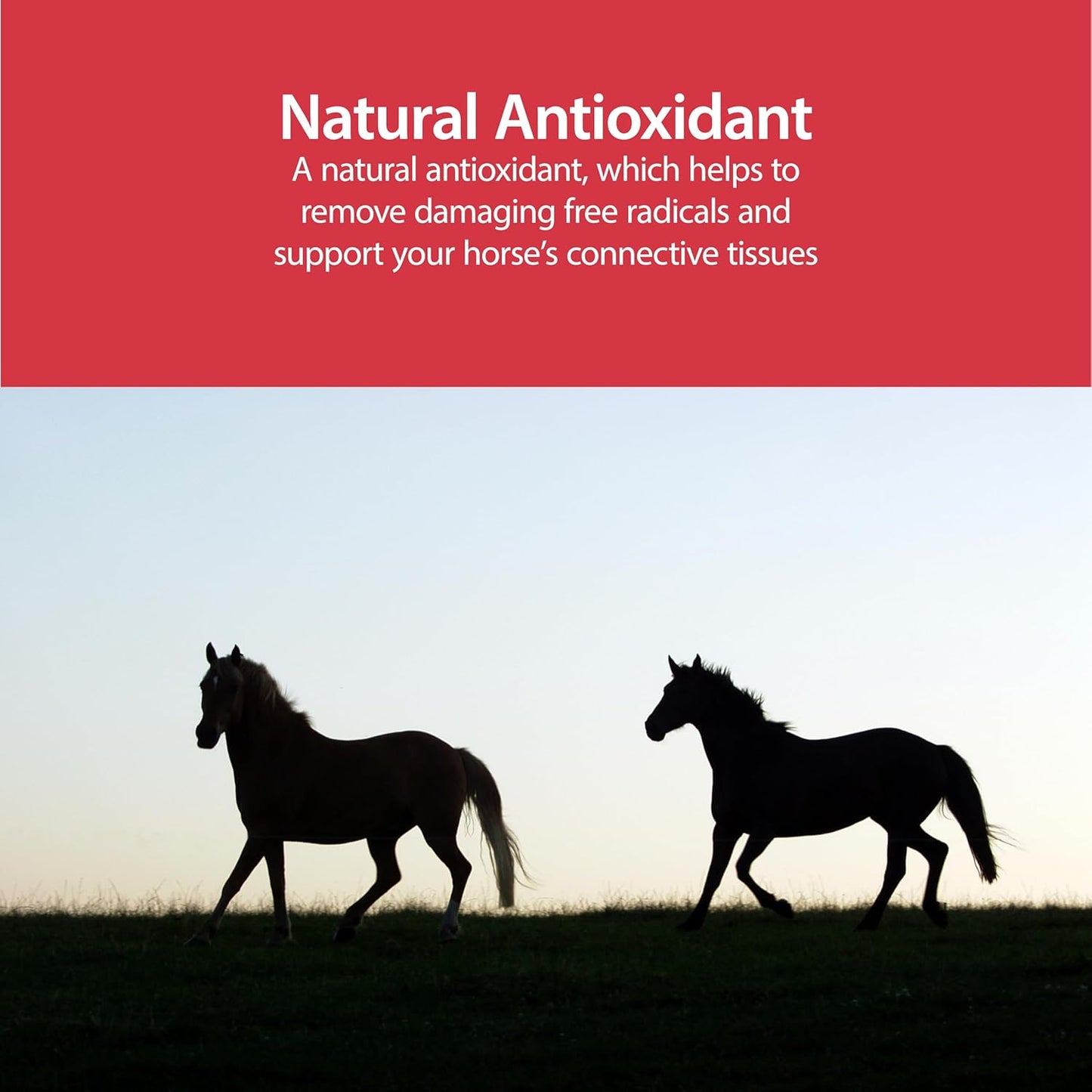 AniMed Pure MSM Horse Joint Supplement Horse Care Support USA Made 5lb.