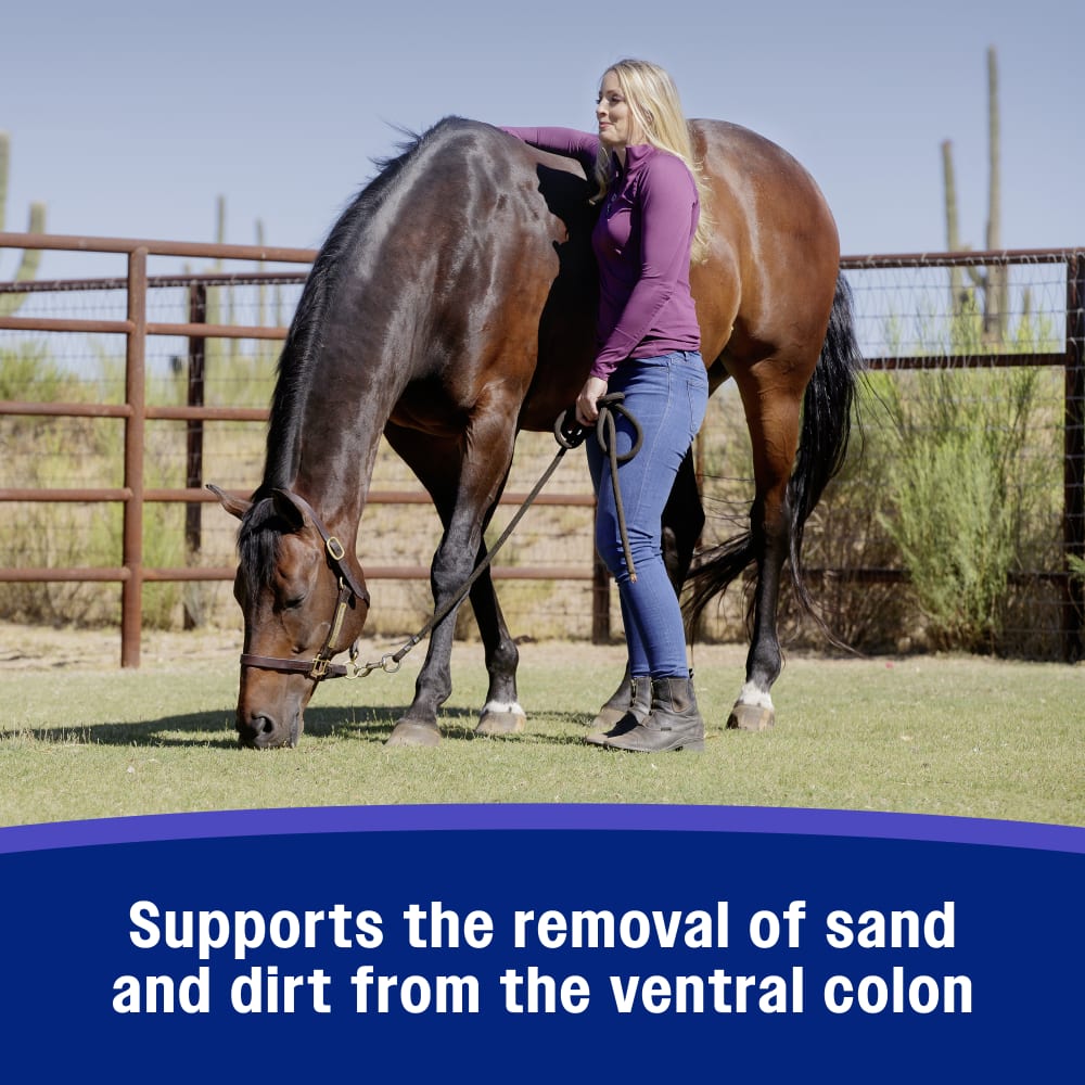 Farnam SandClear Psyllium Crumbles for Horses Digestive Support Sand Colic Risk 3lbs.