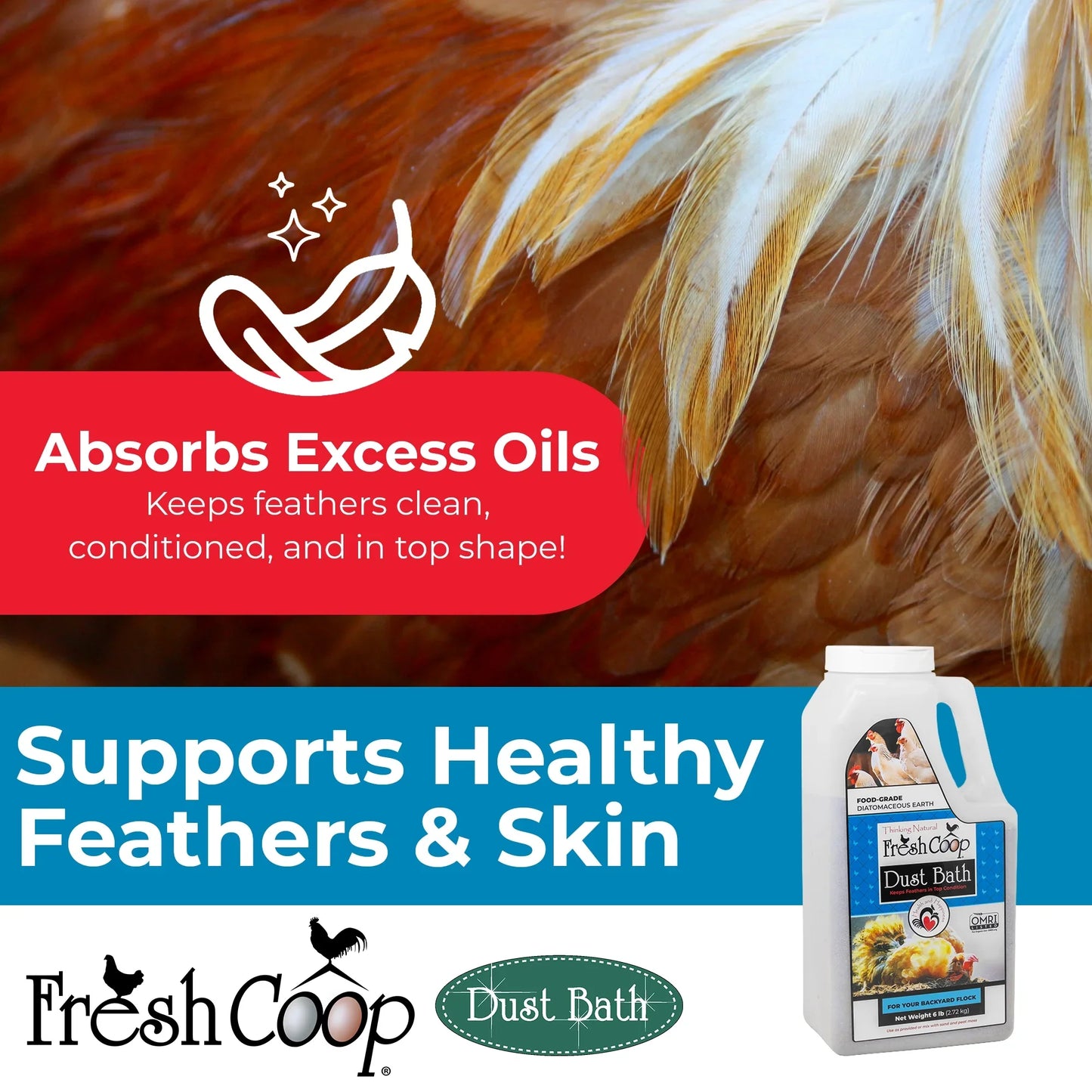 Fresh Coop Dust Bath 6 lb Shaker Absorbent Chicken Bird Bath Backyard Poultry