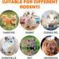 32Pcs Timothy Hay Sticks 320G Rabbit Toys Bunny, Guinea Pig Toys Natural Hamster Toys for Teeth Handmade Treats and Chews Chinchilla Rat Gerbil