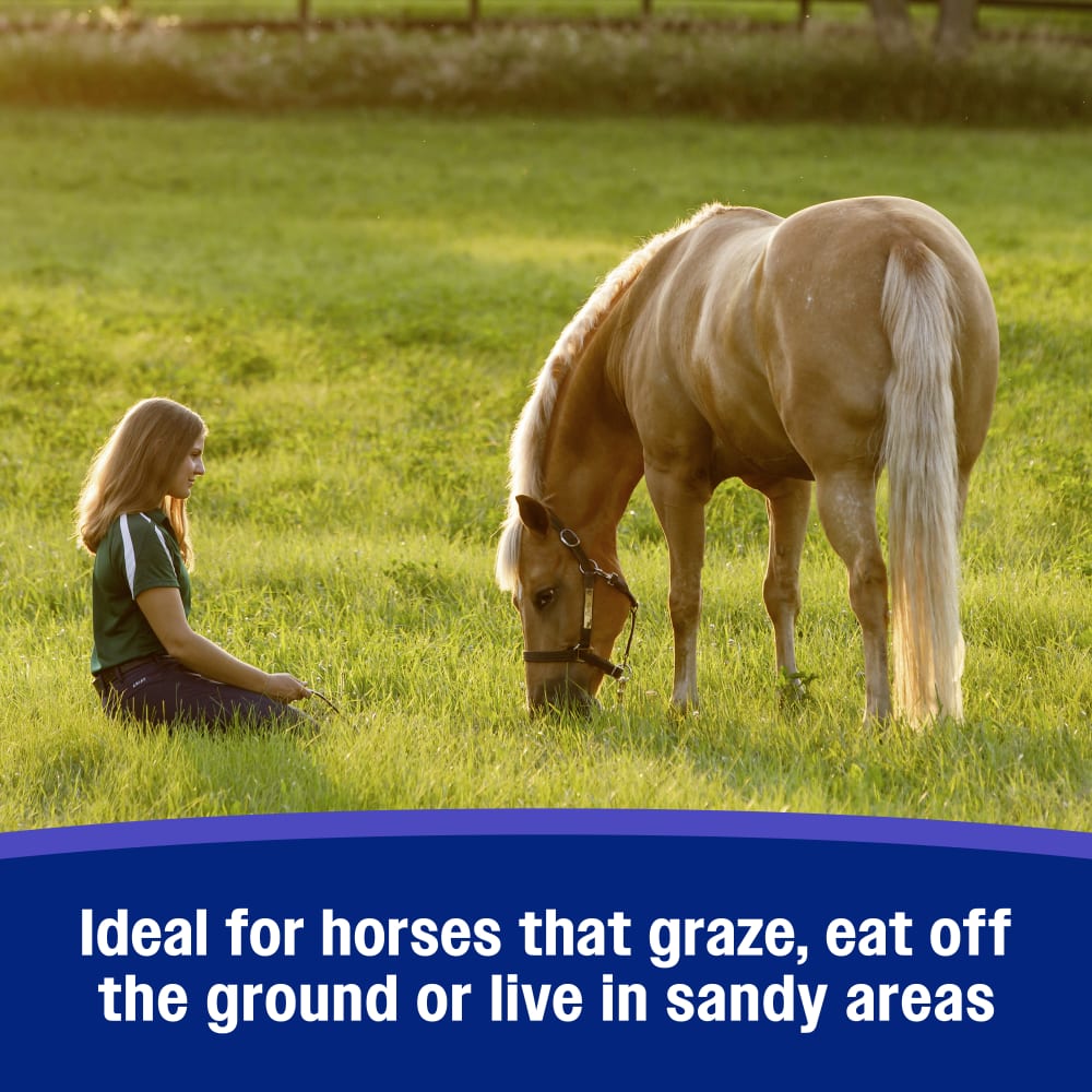 Farnam SandClear Psyllium Crumbles for Horses Digestive Support Sand Colic Risk 3lbs.