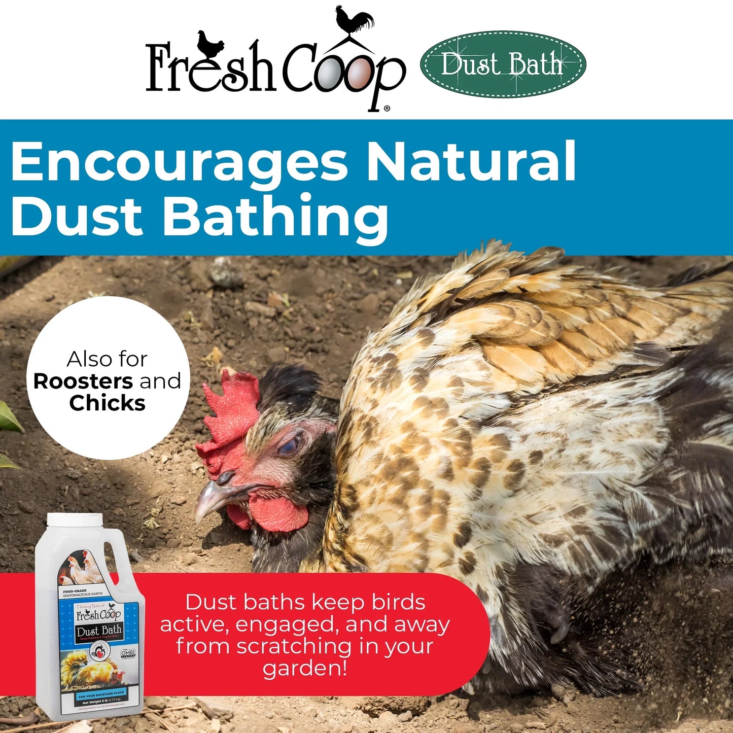 Fresh Coop Dust Bath 6 lb Shaker Absorbent Chicken Bird Bath Backyard Poultry