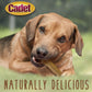 Huesos de piel de res prensada Cadet de 6.5" para perros, masticables duraderos, paquete de 12 unidades