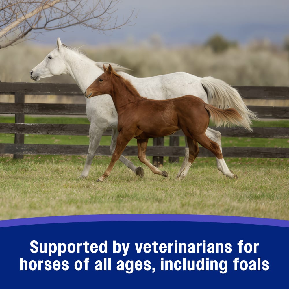 Farnam SandClear Psyllium Crumbles for Horses Digestive Support Sand Colic Risk 3lbs.
