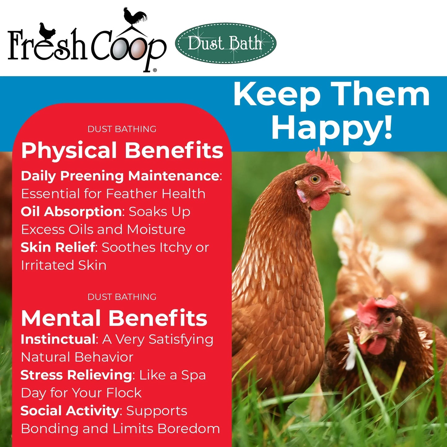 Fresh Coop Dust Bath 6 lb Shaker Absorbent Chicken Bird Bath Backyard Poultry