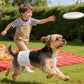 Male Dog Diapers 96 Count Small Belly Bands Leakproof Absorbent Wraps