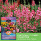 Functional Flower Garden Kit - 36 Seeds for Beauty, Bees & Wellness