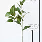 36" Faux Lemon Leaf Branch Stem