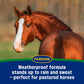 Farnam Equi-Spot Fly Control Horses 3-Pack Waterproof Kills Flies Ticks 6 Weeks