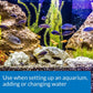 TAP WATER CONDITIONER Aquarium Water Conditioner 1-Ounce Bottle