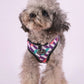 Pet's Chest-back Traction Dog Walking Chest Strap