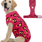 Dog Recovery Onesie Suit After Surgery – 4 Colors, XS–2XL