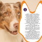 PiccardMeds4pets Skin and Coat Omega-3 Soft Chews Small Dogs and Cats 150ct
