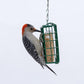 C&S Berry Suet Treat 11.75 oz Wild Bird Suet Cake Year-Round Cranberry Blend