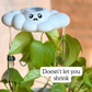 Carl the Cloud