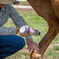 Equiderma Equine Skin Care Lotion for Rain Rot & Horse Skin Care 16 oz.