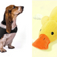 Anxiety Jacket Vest Summer Medical Treatment To Calm Down Cat Clothes Dog Comfort Clothes