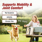 Pet Pain Relief for Dogs Cats Arthritis Joint Anti Inflammatory Drops 2oz