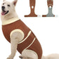 Female Dog Recovery Suit After Spay, XS–2XL