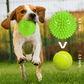 Pelotas chirriantes interactivas de 2.5” para cachorros, juguetes para la dentición, masticables para perros pequeños, limpieza dental y adiestramiento