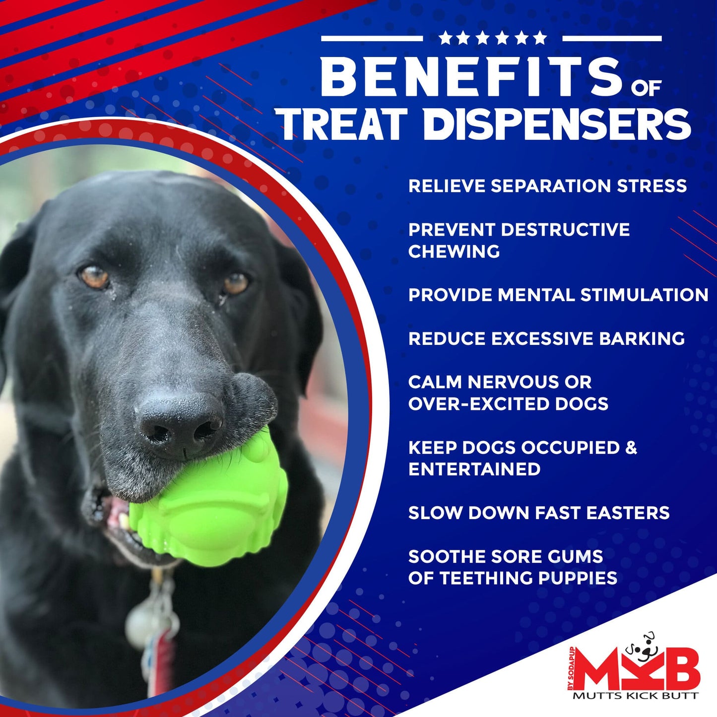 Bull Frog Dog Chew Toy & Treat Dispenser - USA Made | SodaPup