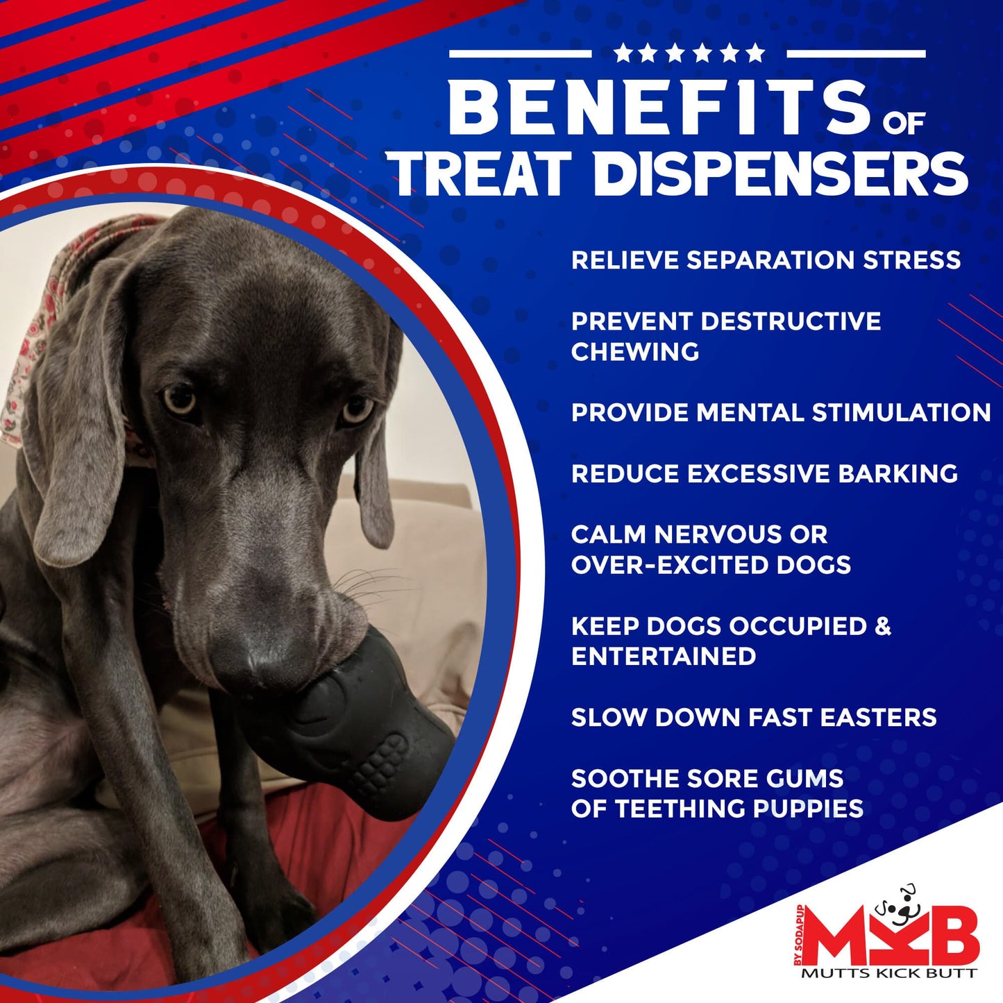 Magnum Sugar Skull Dog Chew Toy & Treat Dispenser - USA Made | SodaPup