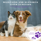 Piccardmeds4pets Denomax Same 225 for Dogs and Cats 30 Count + FREE Bandana!