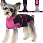 Female Dog Recovery Suit After Spay, XS–2XL