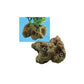 Tetra Water Wonders Coral Plant Base Brown (Small)